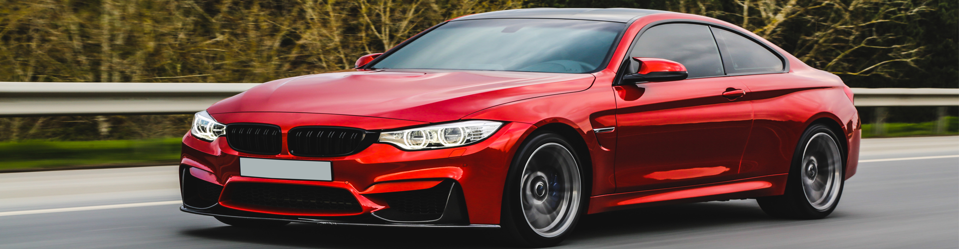 Car Rentals